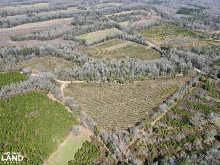 Farm Property for sale in Wilcox County, Alabama