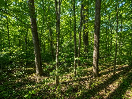 Ranch Property for sale in Carter County, Tennessee