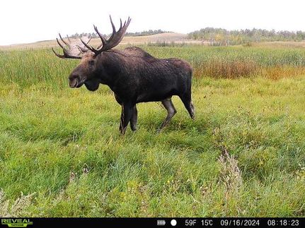 Farm Property for sale in Mountrail County, North Dakota