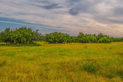 Farm Property for sale in Menard County, Texas