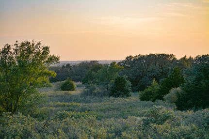 Timberland Property for sale in Wheeler County, Texas