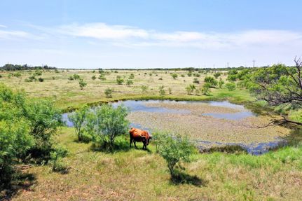 Recreational Property for sale in Young County, Texas