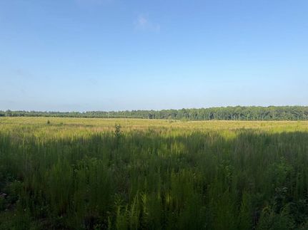 Farm Property for sale in Lincoln County, Arkansas