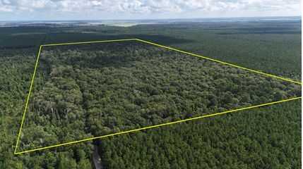 Farm Property for sale in Allen Parish, Louisiana