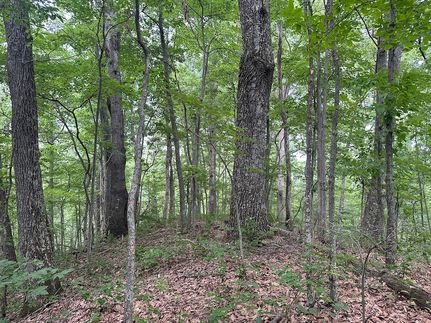 Farm Property for sale in Wayne County, West Virginia