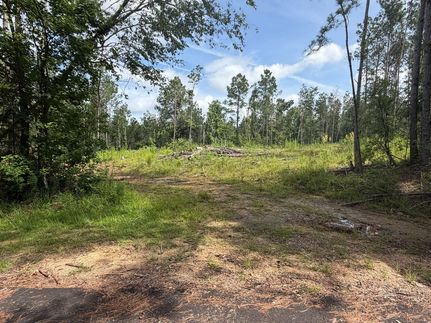 Ranch Property for sale in Lincoln County, Mississippi