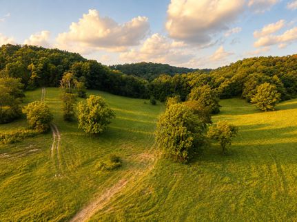 Farm Property for sale in Williamson County, Tennessee
