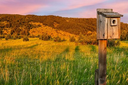 Ranch Property for sale in Gallatin County, Montana