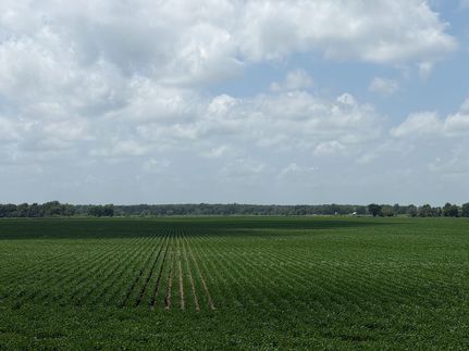 Farm Property for sale in Tunica County, Mississippi