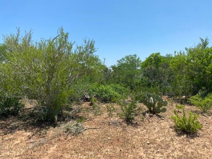 Recreational Property for sale in Duval County, Texas