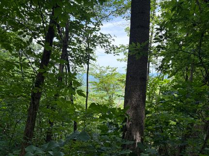 Farm Property for sale in Jackson County, Alabama