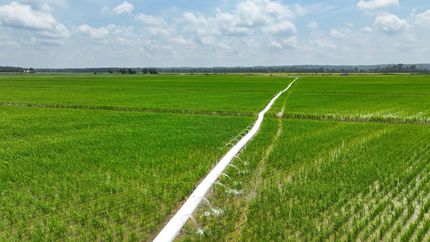 Ranch Property for sale in Greene County, Arkansas