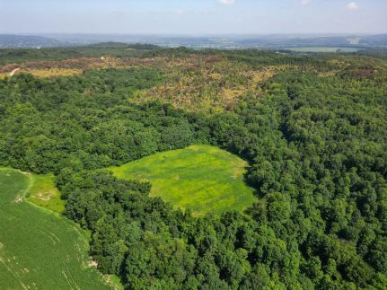 Farm Property for sale in Muskingum County, Ohio