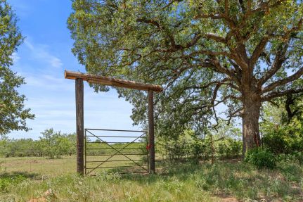 Hunting Land for sale in Kaufman County, Texas