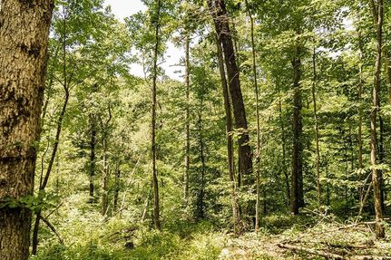 Farm Property for sale in Rowan County, Kentucky