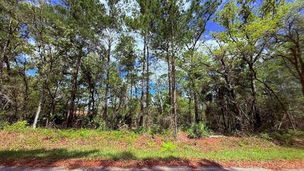 Ranch Property for sale in Marion County, Florida