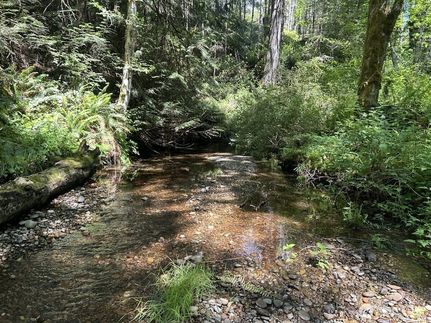Farm Property for sale in Mason County, Washington