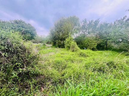 Farm Property for sale in Cameron County, Texas