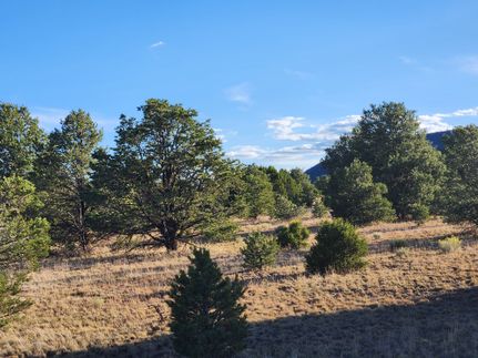Farm Property for sale in Catron County, New Mexico