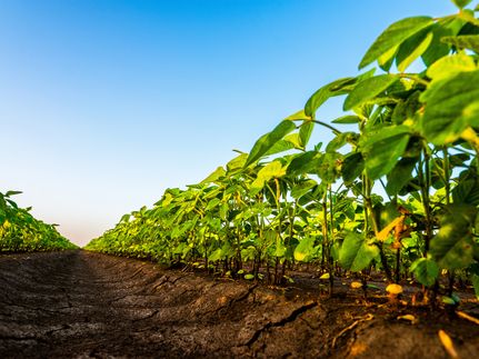 Farm Property for sale in Desha County, Arkansas