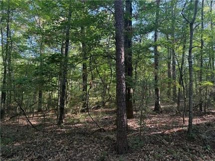 Farm Property for sale in LaSalle Parish, Louisiana