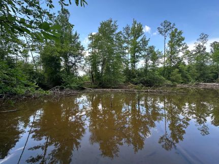 Recreational Property for sale in Perry County, Alabama