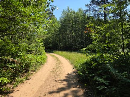 Farm Property for sale in Oneida County, Wisconsin