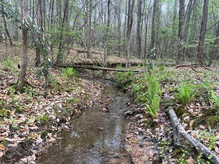 Ranch Property for sale in Tallapoosa County, Alabama