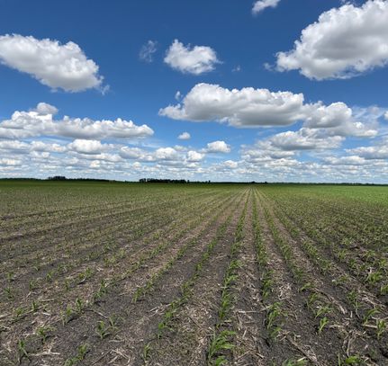Farm Property for sale in Pembina County, North Dakota