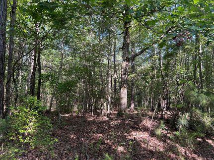 Farm Property for sale in Wilcox County, Alabama