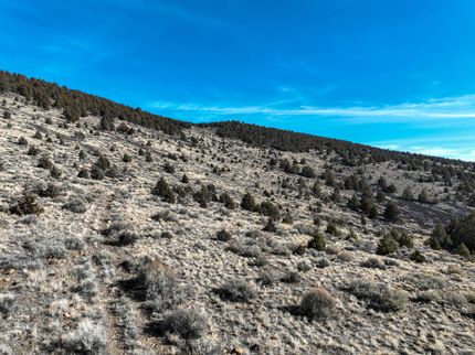 Farm Property for sale in Harney County, Oregon