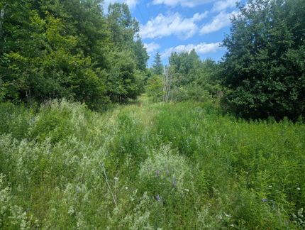 Ranch Property for sale in Waldo County, Maine