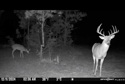 Undeveloped Land for sale in Jasper County, Texas