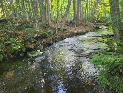 Farm Property for sale in Piscataquis County, Maine