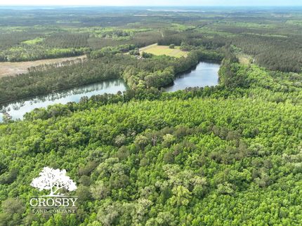 Ranch Property for sale in McIntosh County, Georgia