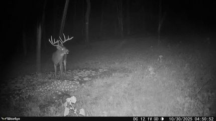 Recreational Property for sale in Guernsey County, Ohio