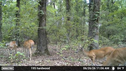 Farm Property for sale in Bowie County, Texas