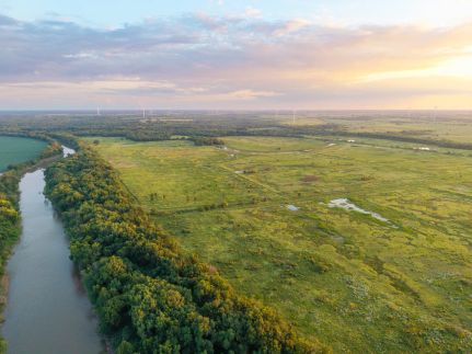 Timberland Property for sale in Neosho County, Kansas