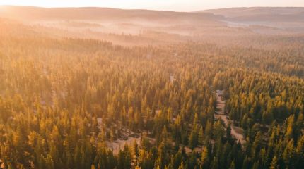 Farm Property for sale in Lincoln County, Montana