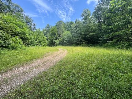 Ranch Property for sale in Randolph County, West Virginia