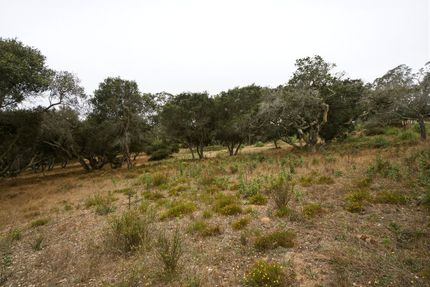Residential Property for sale in Monterey County, California
