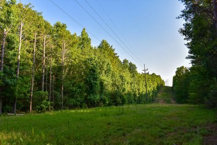 Timberland Property for sale in Winston County, Alabama