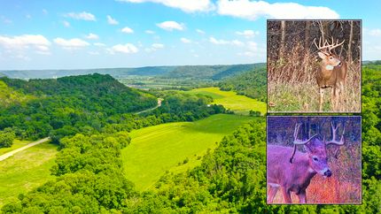 Farm Property for sale in Fillmore County, Minnesota