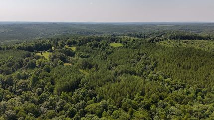Farm Property for sale in Winston County, Alabama