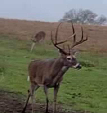 Farm Property for sale in Leon County, Texas