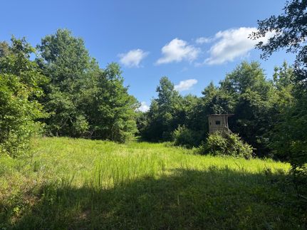 Farm Property for sale in Fayette County, Alabama