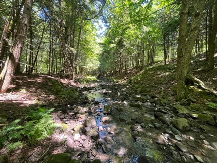 Ranch Property for sale in Saint Lawrence County, New York