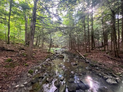 Farm Property for sale in Saint Lawrence County, New York