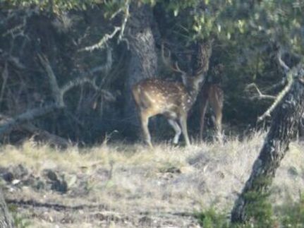 Ranch Property for sale in Kimble County, Texas