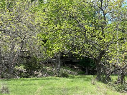 Farm Property for sale in Kerr County, Texas